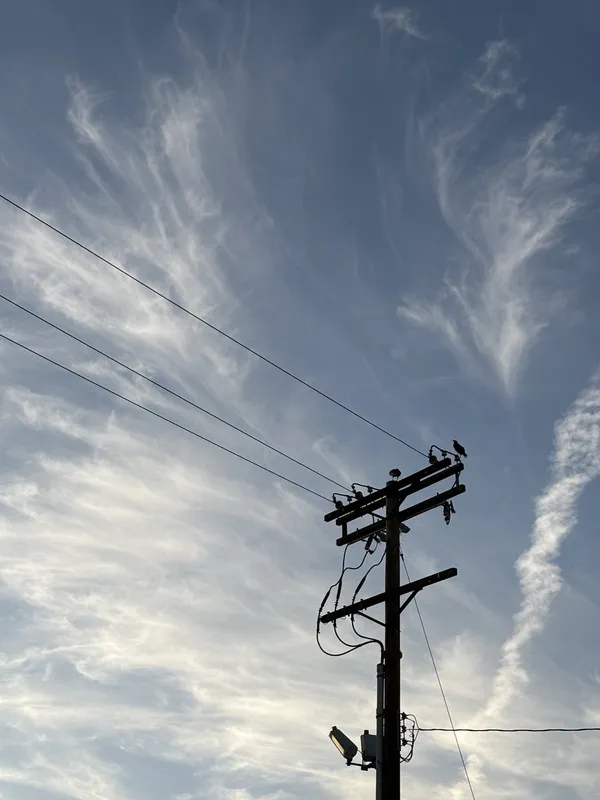 A sky with thin whisky clouds is the backdrop for a backlit shot of two ravens on power pole.