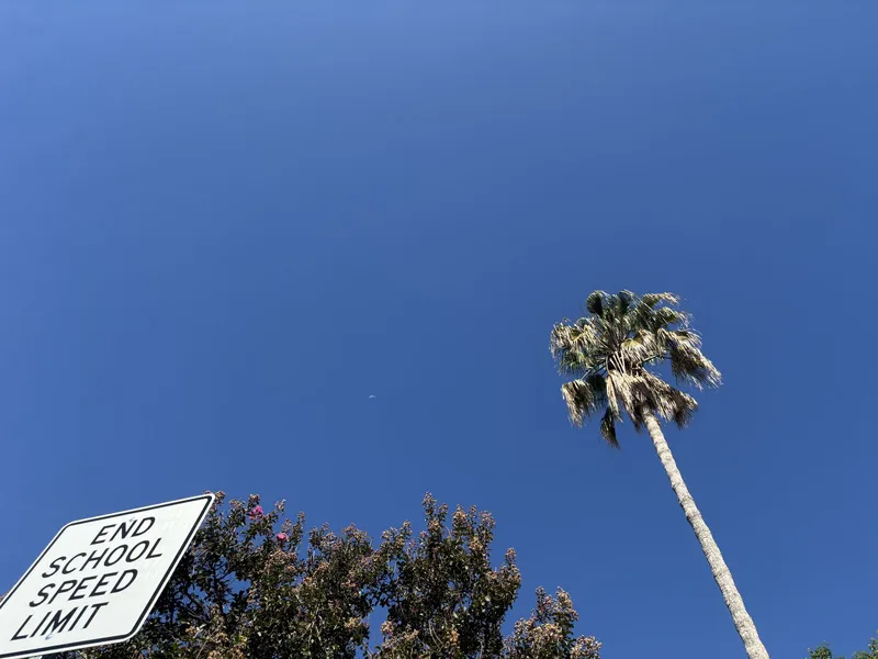 Frame looking up at the blue sky, a tiny crescent moon is visible in the daytime. A palm  shoots up from the bottom right fame and the bottom left has a street sign that says “end school speed limit”